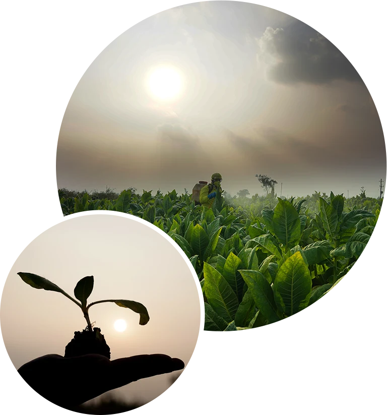 Transforming for a Sustainable Future<