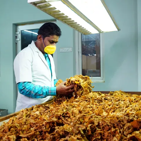 fda tobacco registration Small Business Assistance for Tobacco Product Industry